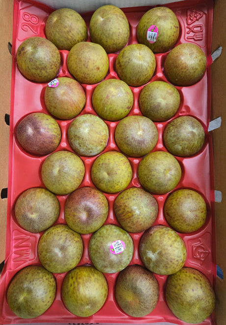 Mott Plumcot (Red Meat)
