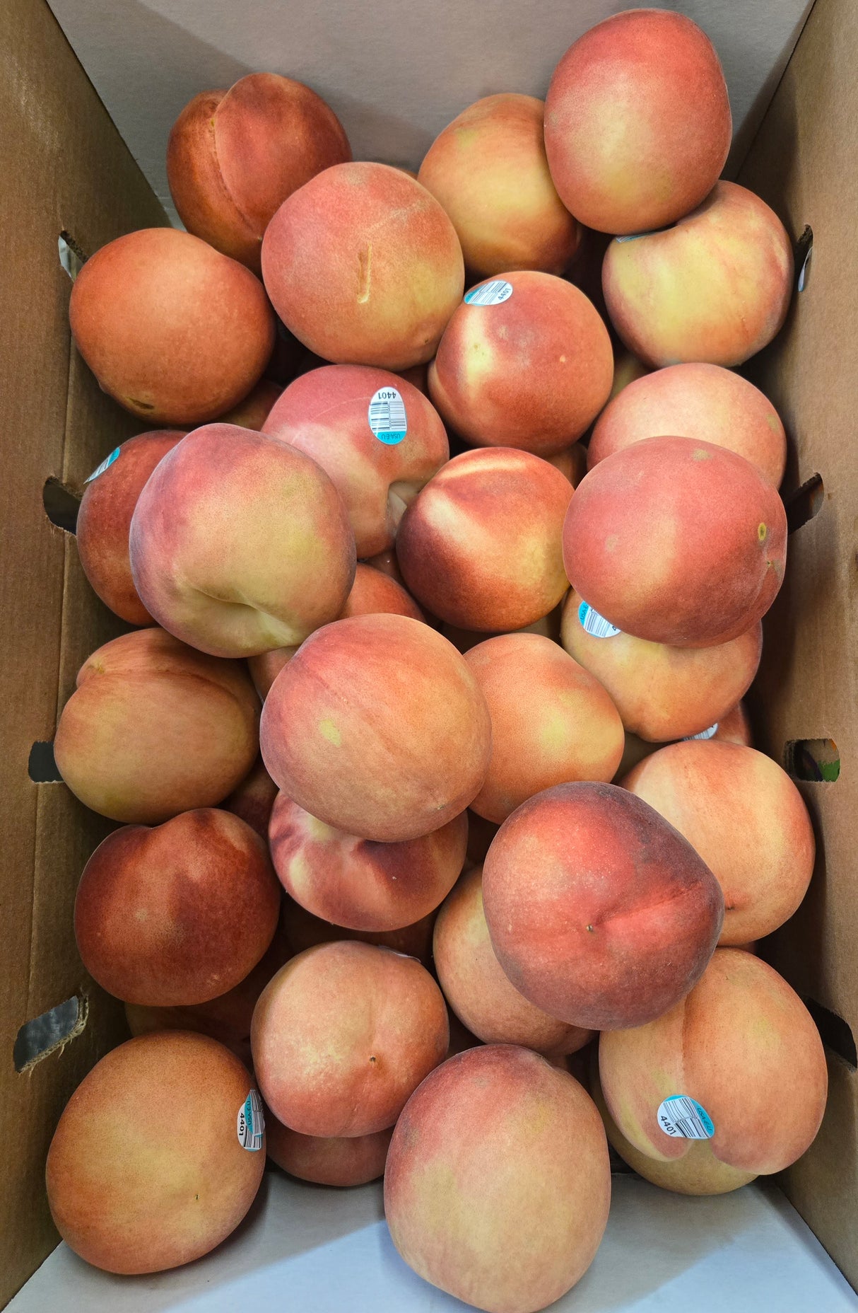 Snow White Peach