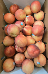 Snow White Peach