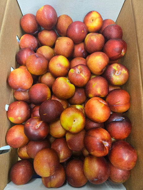 Red Onyx Plum