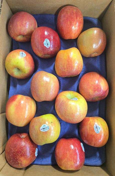 Fuji Apple