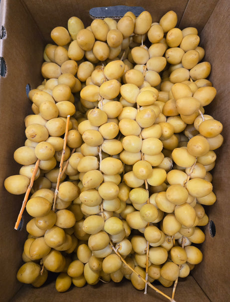Fresh Yellow Date