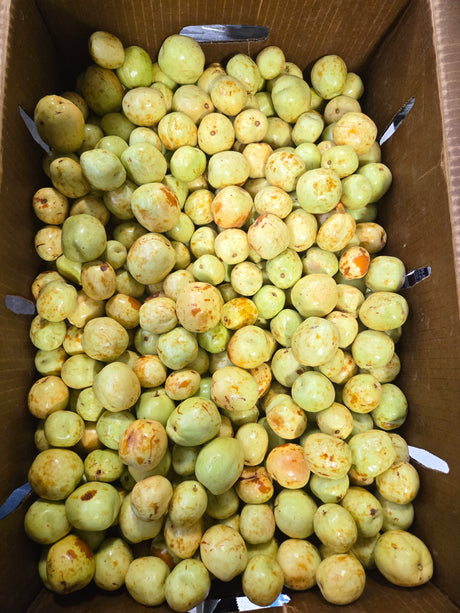 Round Jujube