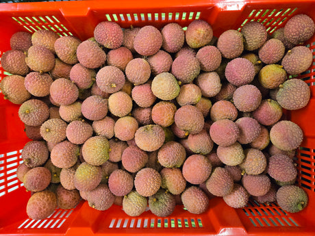 Lychee