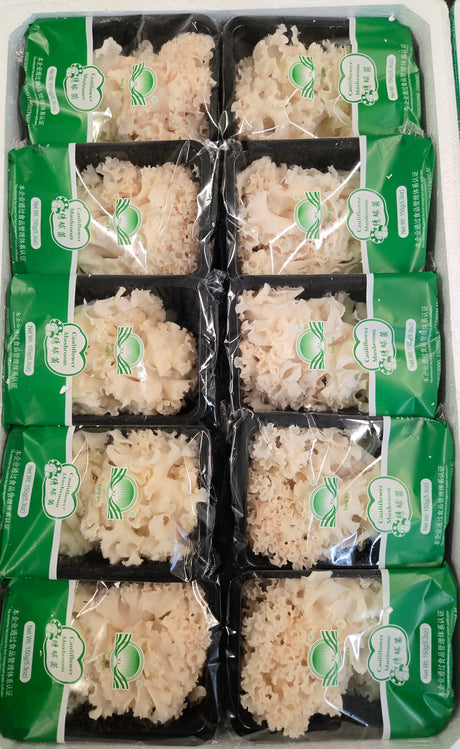 Cauliflower Mushroom