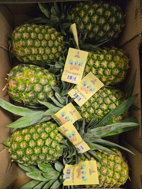 Pineapple