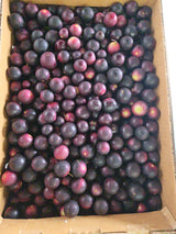 Muscadine Grape