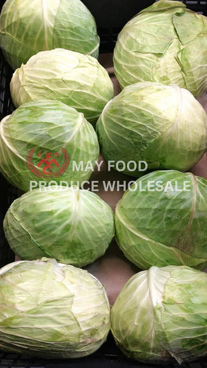 [V] Taiwan Cabbage