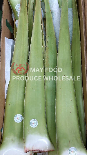 [V] Aloe Vera 25 lbs, 24-28pcs