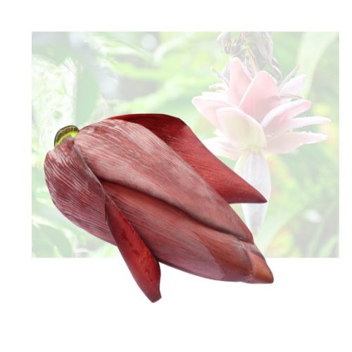 Banana Flower
