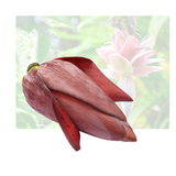 Banana Flower
