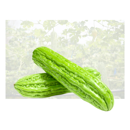 Bitter Melon