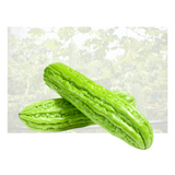 Bitter Melon