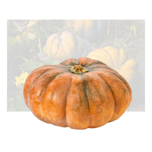 Calabaza
