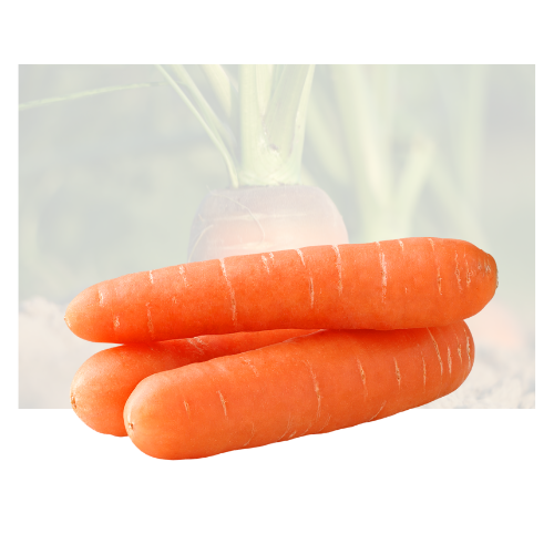 Carrot