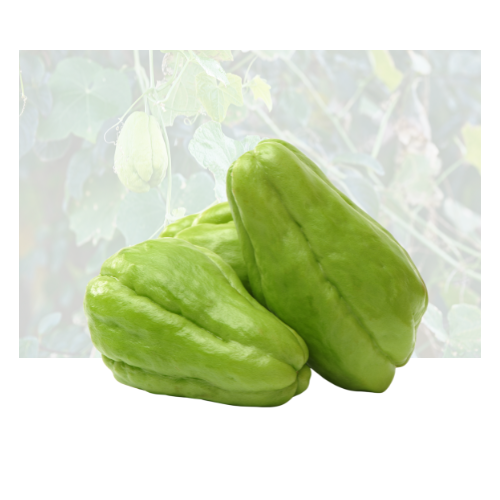 Chayote