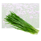 Chive