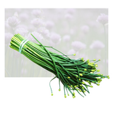 Chive Flower