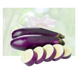 Chinese Eggplant