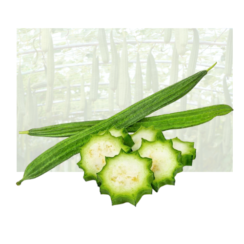 Chinese Okra