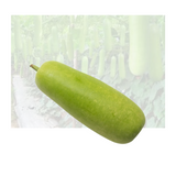 Long Squash