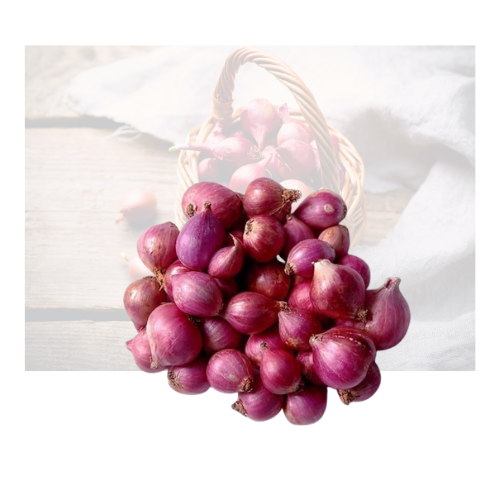 Red Pearl Onion