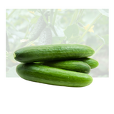 Persian Pickle