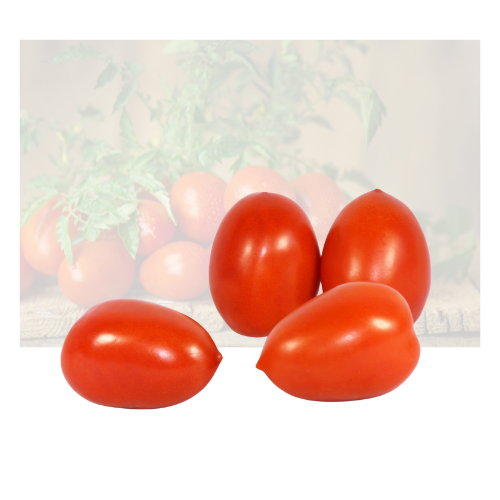 Roma Tomato