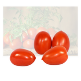 Roma Tomato