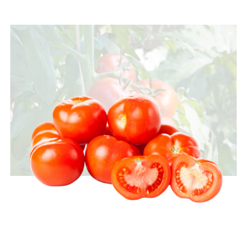 Round Tomato