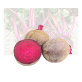 Beet