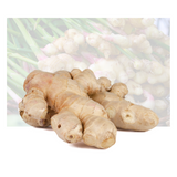 Ginger