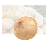 Jicama