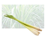 Lemongrass
