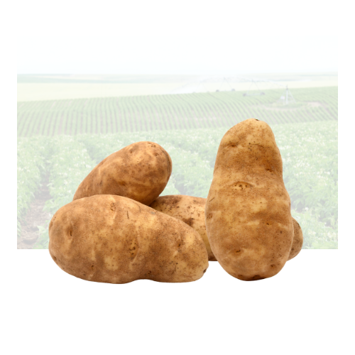 Bake Potato