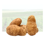 Bake Potato
