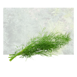 Dill