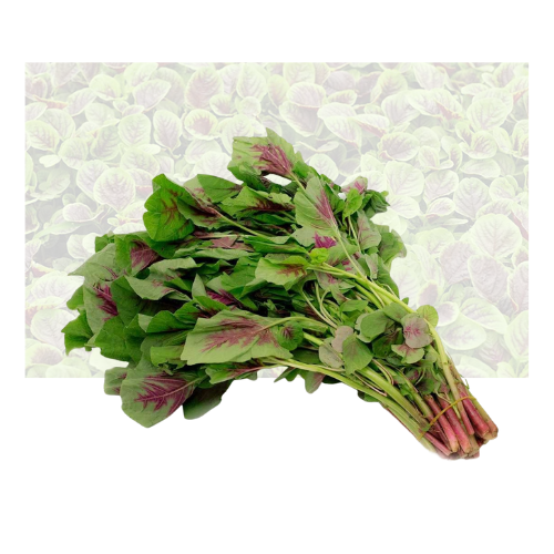 Red Amaranth