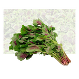 Red Amaranth
