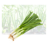Green Onion