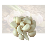 Peeled Garlic
