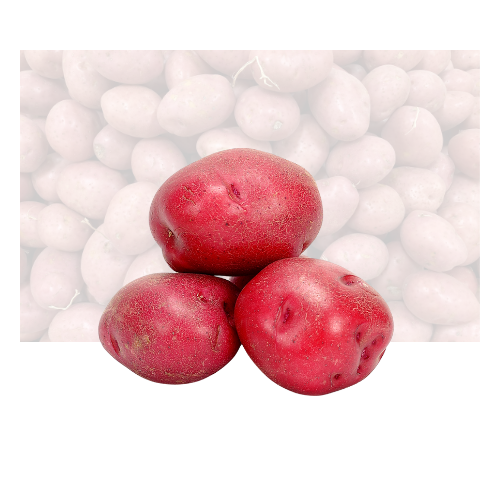 Red Potato