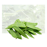 Snow Pea
