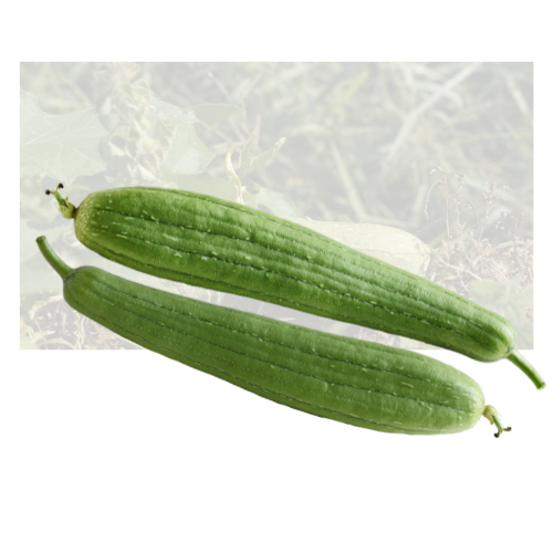 Thai Okra