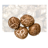 Shitake Mushroom