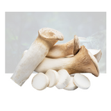 King Mushroom
