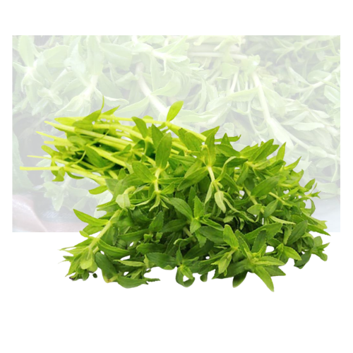 Rice Paddy Herbs