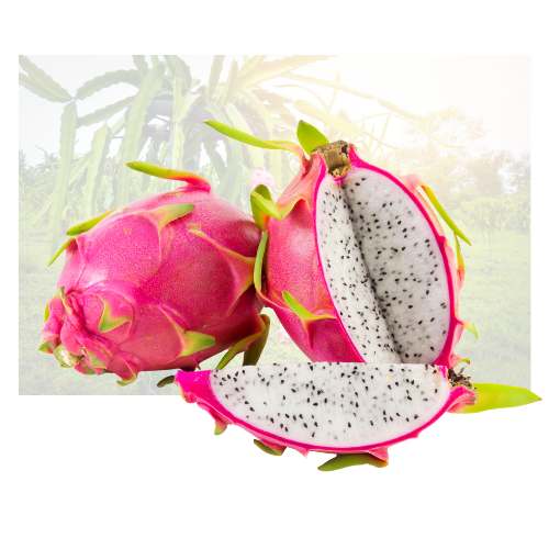 White Dragon Fruit