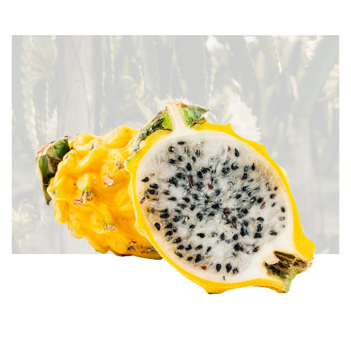 Yellow Dragon Fruit