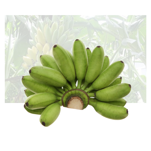 Finger Banana